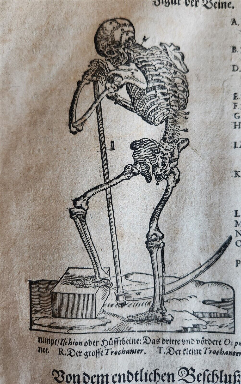 1601 WOUND MEDICINE antique ILLUSTRATED WundArtzney oder Artzney spiegell FOLIO
