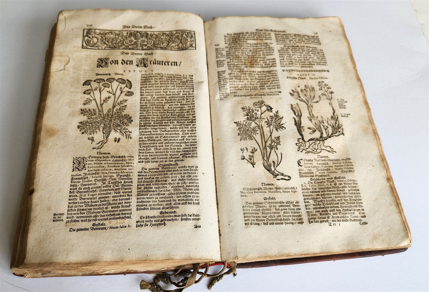1696 THEATRUM BOTANICUM by Theodor ZWINGER antique ILLUSTRATED FOLIO in GERMAN