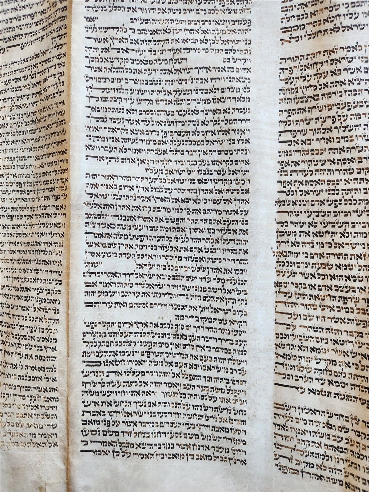 TORAH SCROLL FRAGMENT MANUSCRIPT on VELLUM antique BIBLE BOOK OF NUMBERS 21x42"