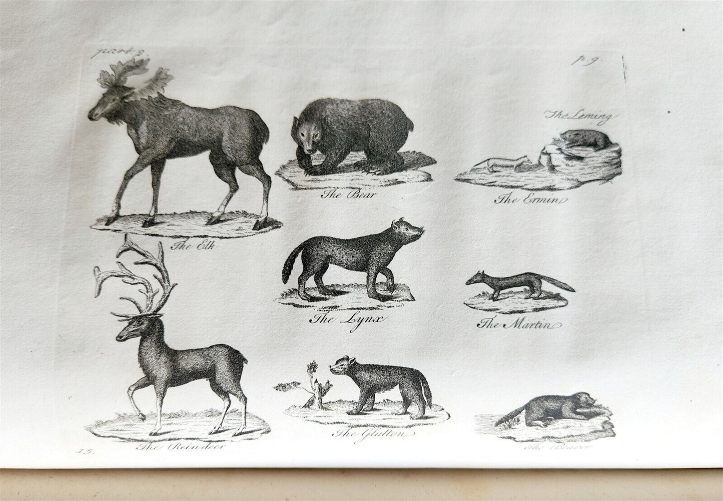 1755 NATURAL HISTORY of NORWAY ILLUSTRATED Pontoppidan antique FOLIO in ENGLISH