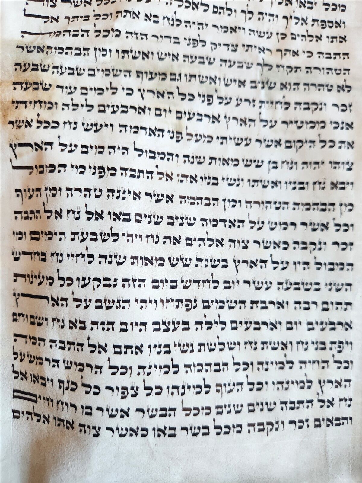 TORAH SCROLL FRAGMENT MANUSCRIPT on VELLUM antique BIBLE CREATION of the WORLD