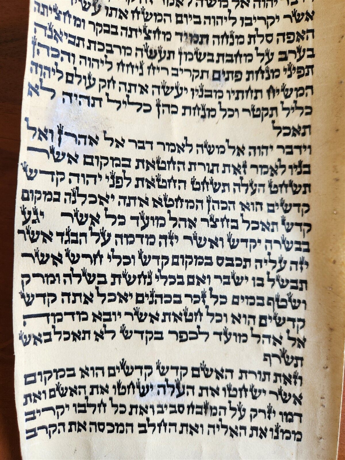 TORAH SCROLL FRAGMENT MANUSCRIPT on VELLUM antique BIBLE LEVITICUS 6:3 - 7:3