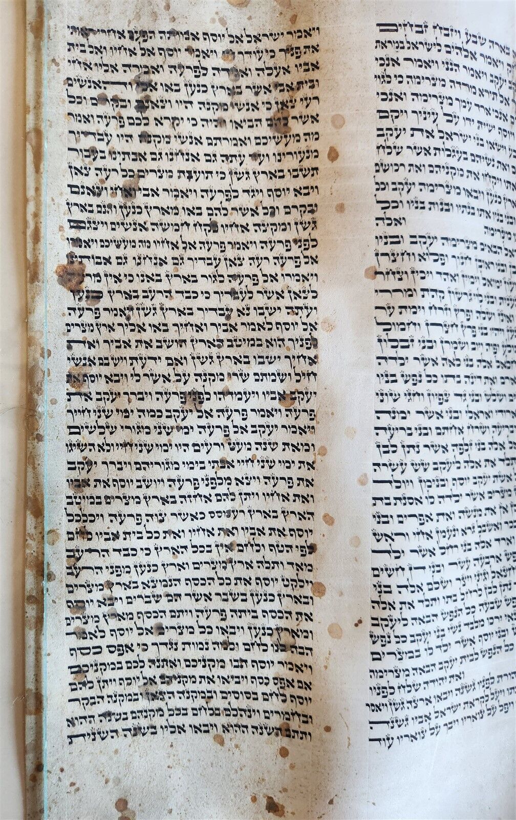 TORAH SCROLL large FRAGMENT MANUSCRIPT VELLUM antique BIBLE GENESIS 32:3-47:18