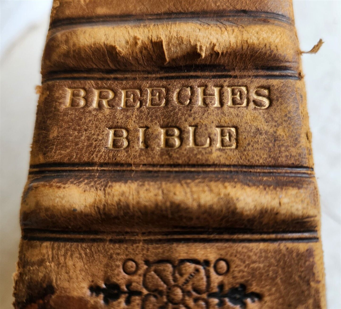 1608 BREECHES BIBLE in ENGLISH antique Old & New Testament LONDON ROBERT BARKER