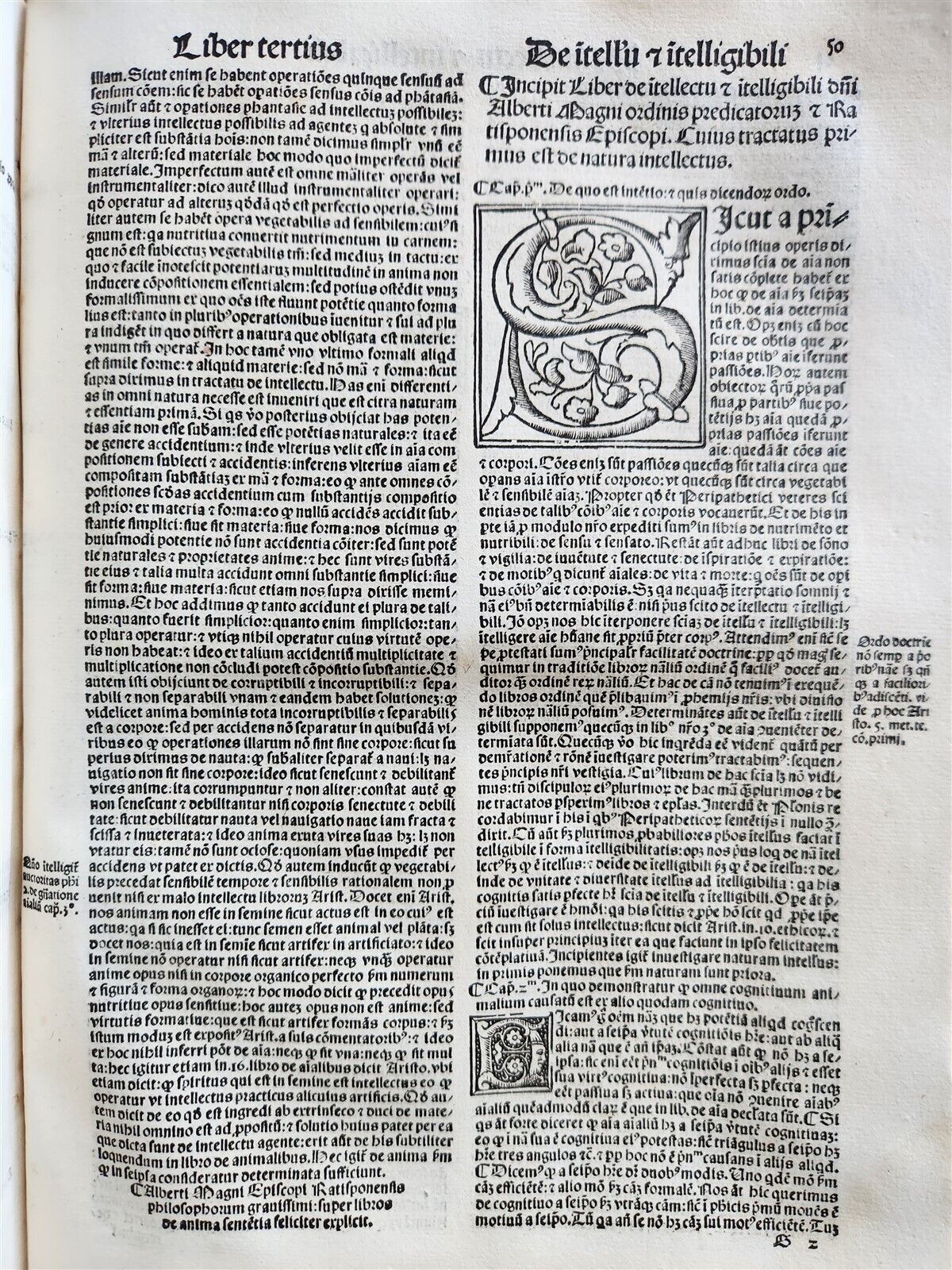 1517 POST-INCUNABULA ALBERTUS MAGNUS antique METAPHYSICA SCIENCE PHILOSOPHY