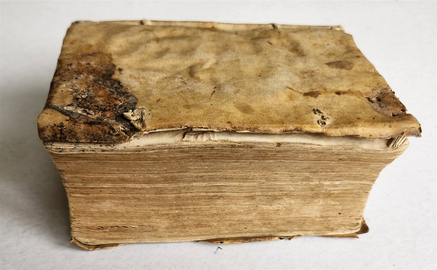 1574 Jean TIXIER antique VELLUM BOUND Officinae Ioannis Rauisii Textoris