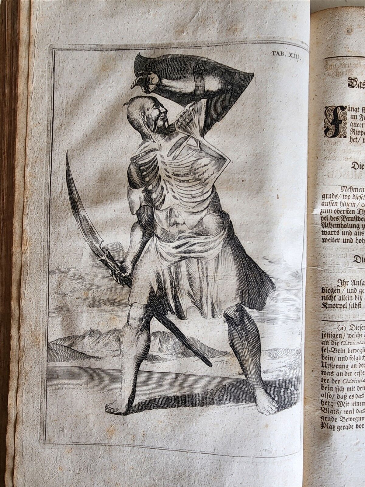 1704 ANATOMY MUSCLE TREATISE antique AMAZINGLY ILLUSTRATED