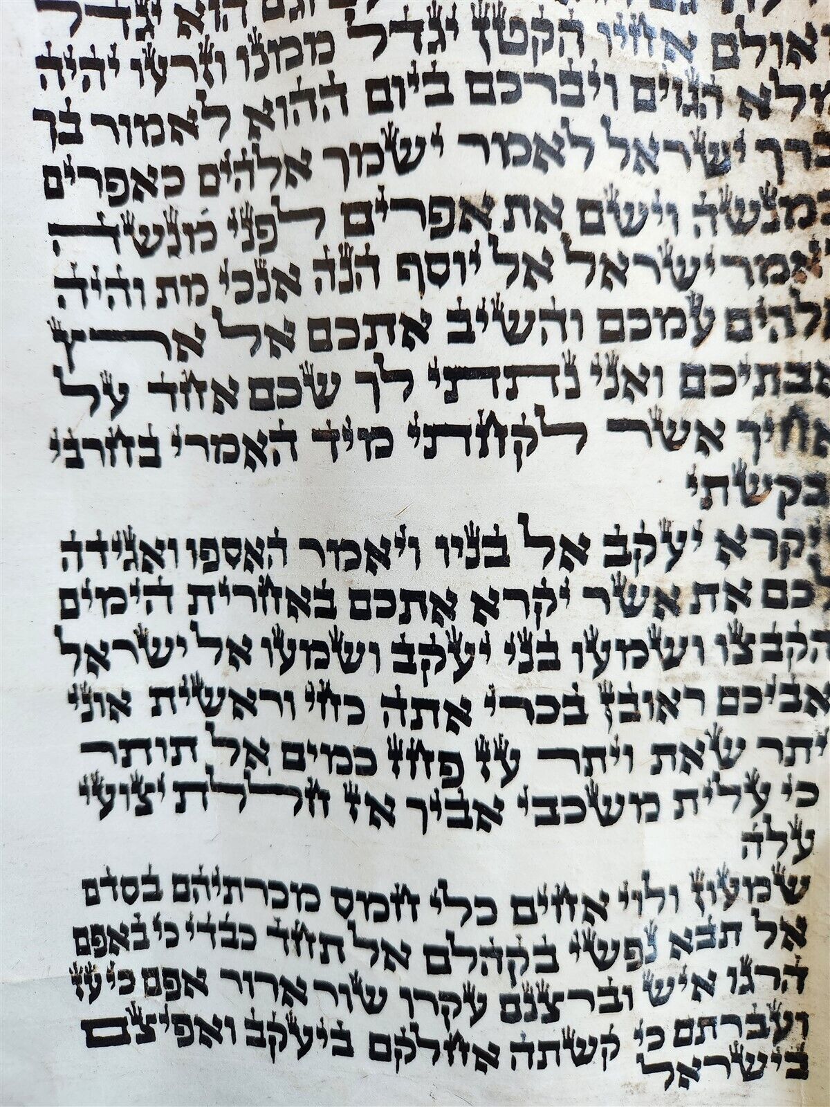 TORAH SCROLL FRAGMENT MANUSCRIPT on VELLUM antique BIBLE GENESIS 48:6 Exodus 3:7