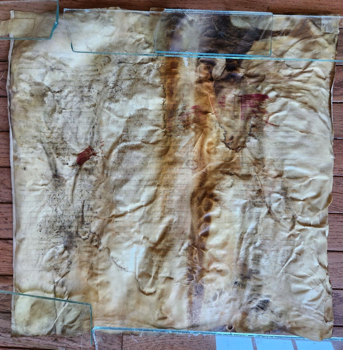 TORAH SCROLL FRAGMENT MANUSCRIPT on VELLUM antique BIBLE DEUTERONOMY 7:26-1:4