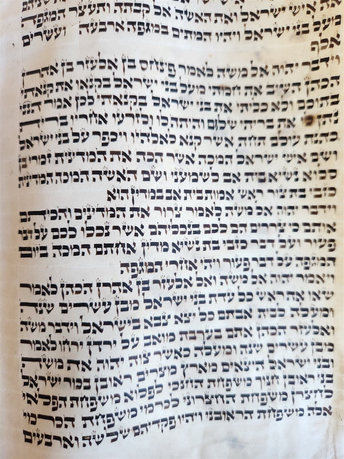 TORAH SCROLL FRAGMENT MANUSCRIPT on VELLUM antique BIBLE BOOK OF NUMBERS