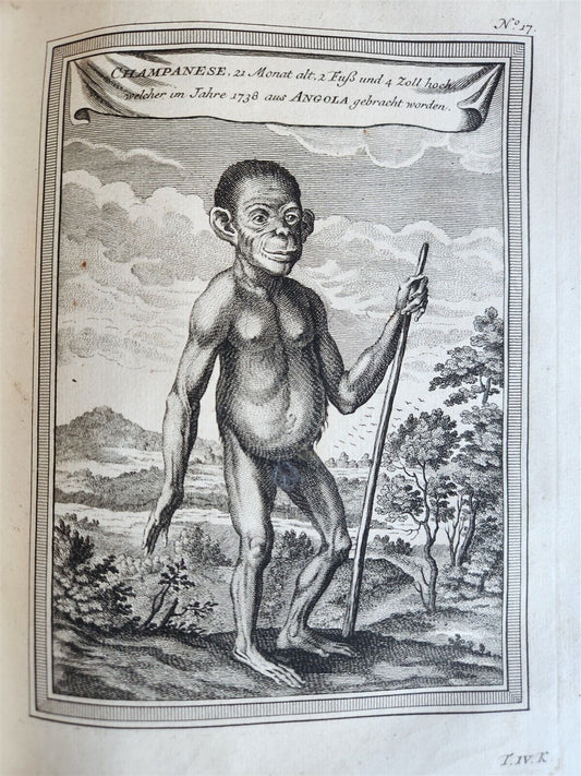 1749 TRAVELS HISTORY ILLUSTRATED antique AFRICA Guinea Benin Angola Loango Congo