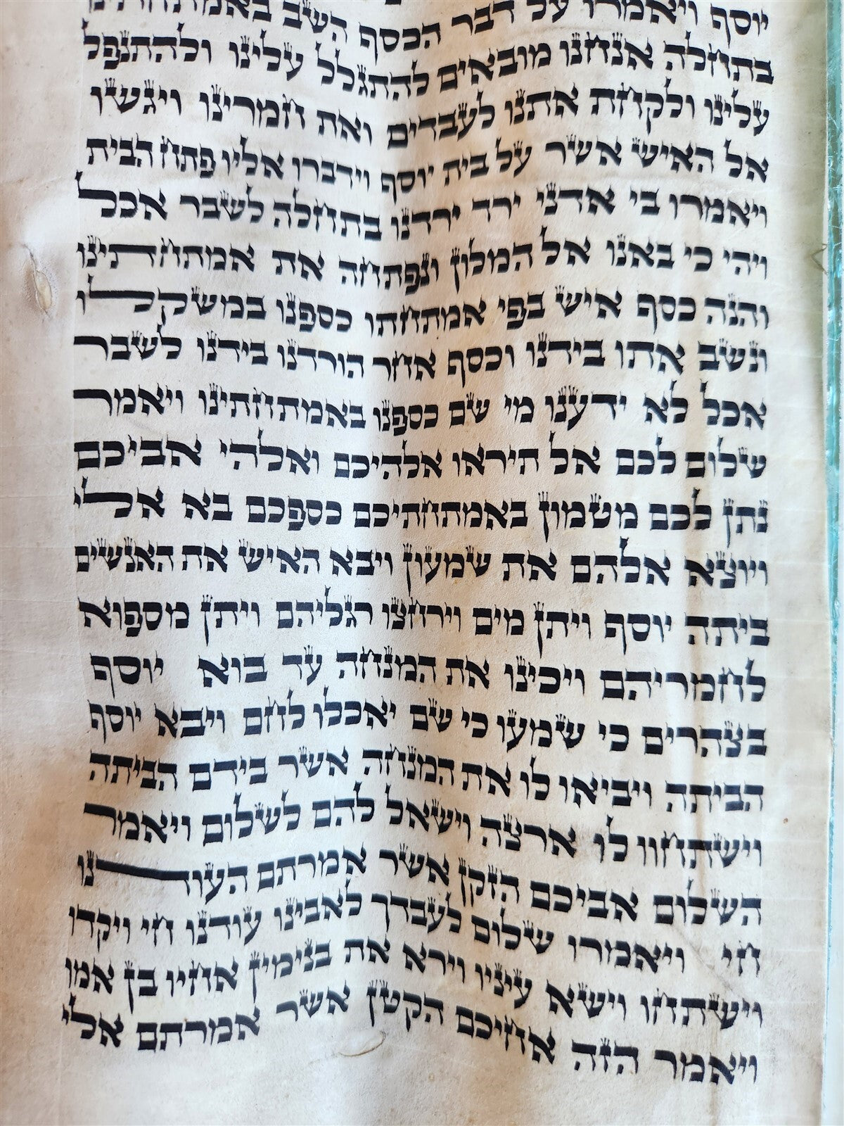 TORAH SCROLL FRAGMENT MANUSCRIPT on VELLUM antique BIBLE DEUTERONOMY 11:4-13:12