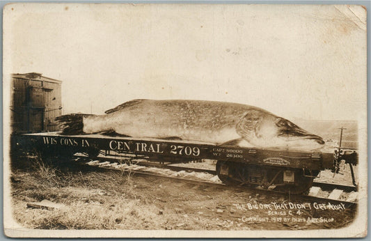 EXAGGERATED FISH WISCONSIN CENTRAL RAILROAD ANTIQUE REAL PHOTO POSTCARD RPPC