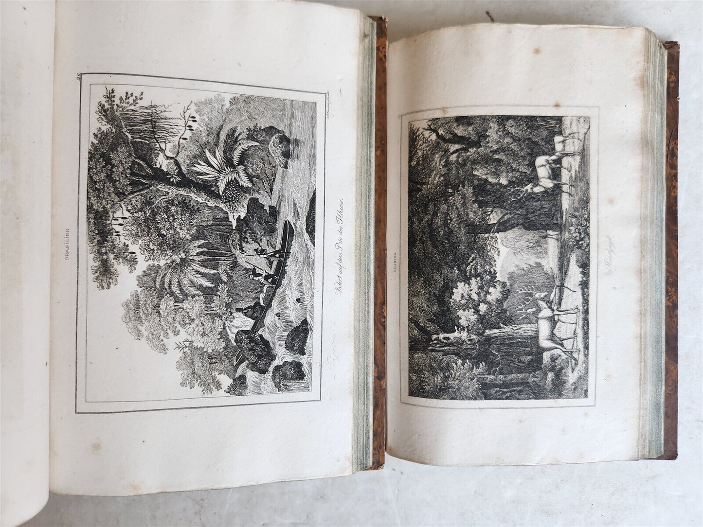 1838 ILLUSTRATED HISTORY of NORTH AMERICA Brazil Columbia & Gyana antique