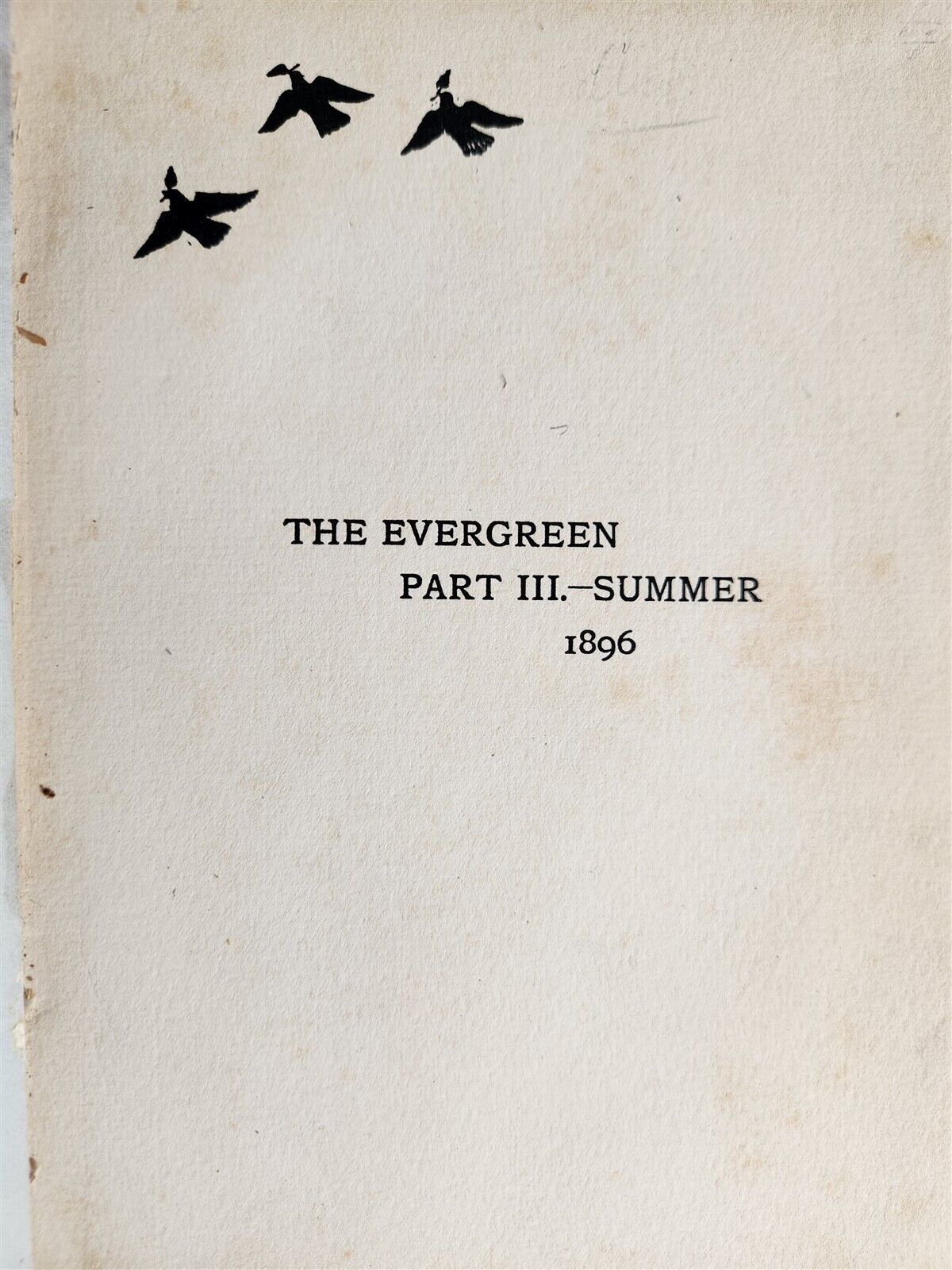 1896 EVERGREEN NORTHERN SEASONAL BOOK OF SUMMER antique ARTS & CRAFTS ILLUSTR.