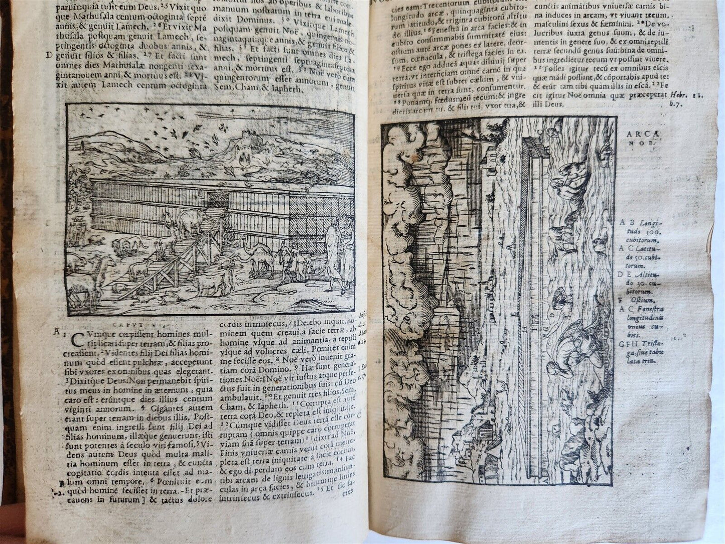 1573 BIBLE in LATIN antique FULLY ILLUSTRATED Old & New Testament