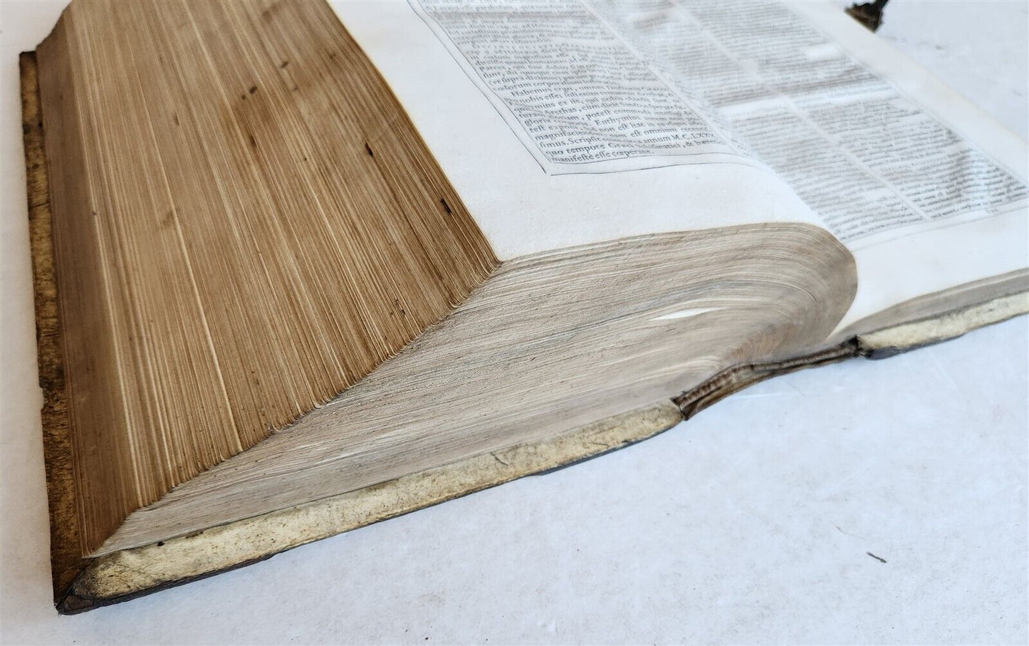 1586 DISPUTATIONES AGAINST HERETICS ROBERTI BELLARMINI antique PIGSKIN FOLIO v.1