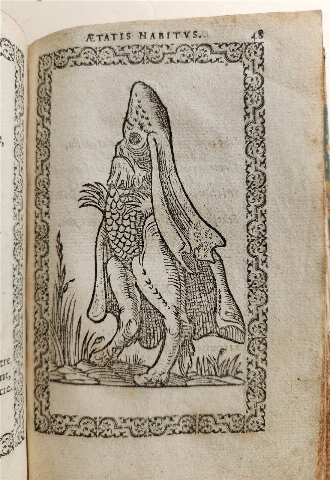 1572 FAMOUS COSTUME WORK Jacobi Sluperii antique ILLUSTRATED w/119 WOODCUTS RARE