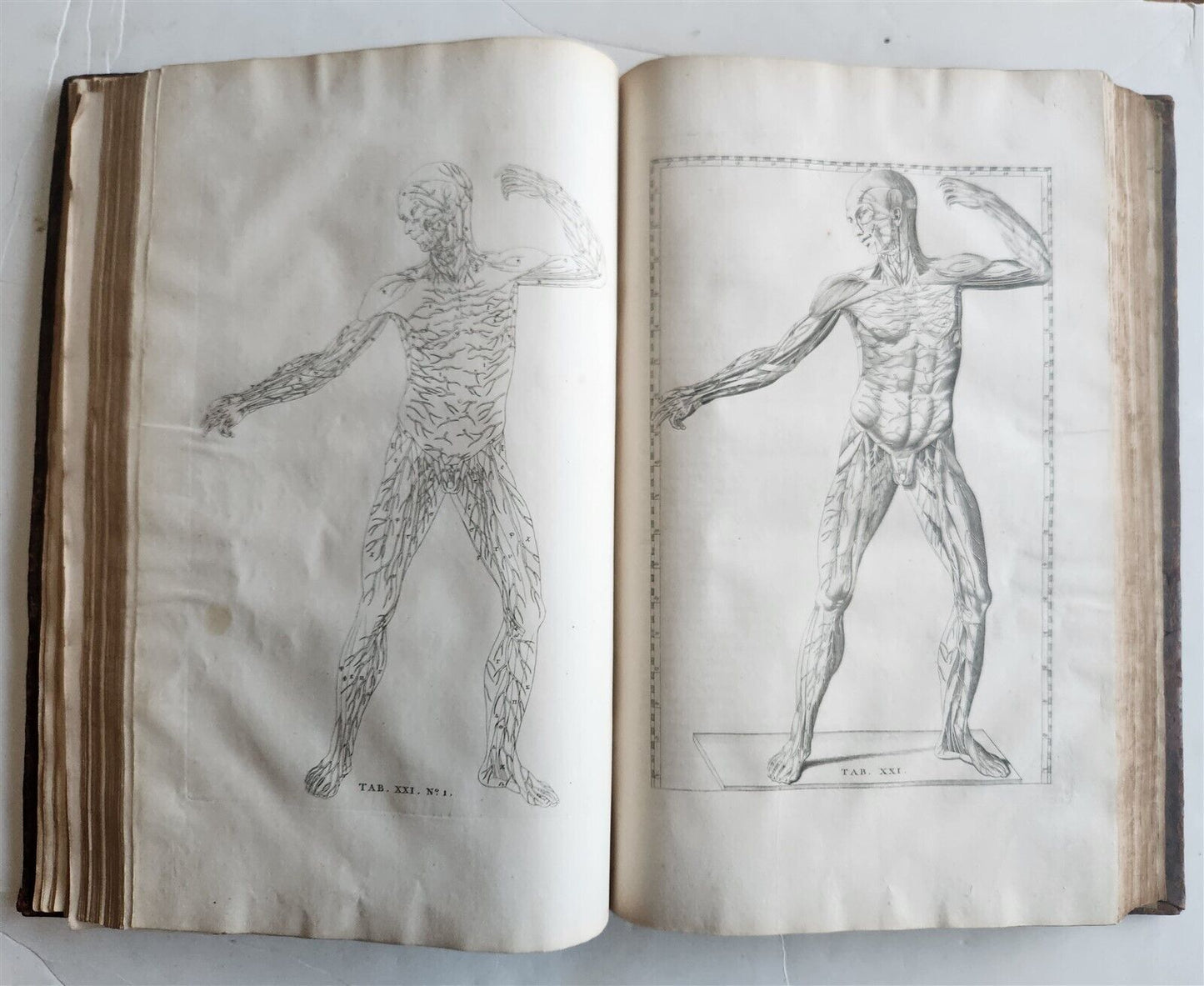 1744 ILLUSTRATED ANATOMY antique FOLIO Explicatio tabularum anatomicarum ALBINUS