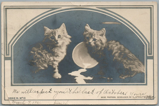 TWO CUTE KITTENS ANTIQUE REAL PHOTO POSTCARD RPPC