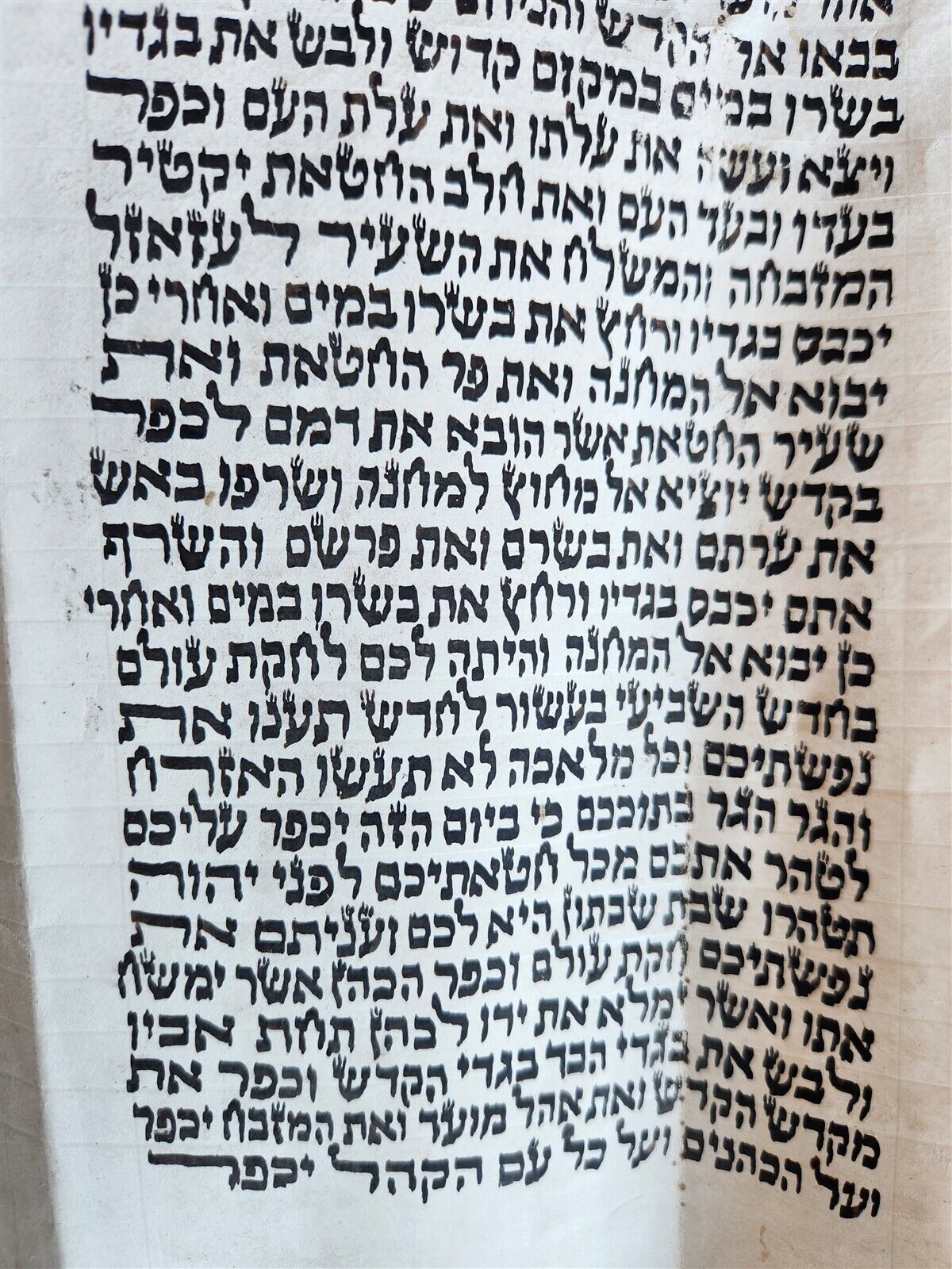 TORAH SCROLL FRAGMENT MANUSCRIPT on VELLUM antique BIBLE LEVITICUS 16:12 - 23:40