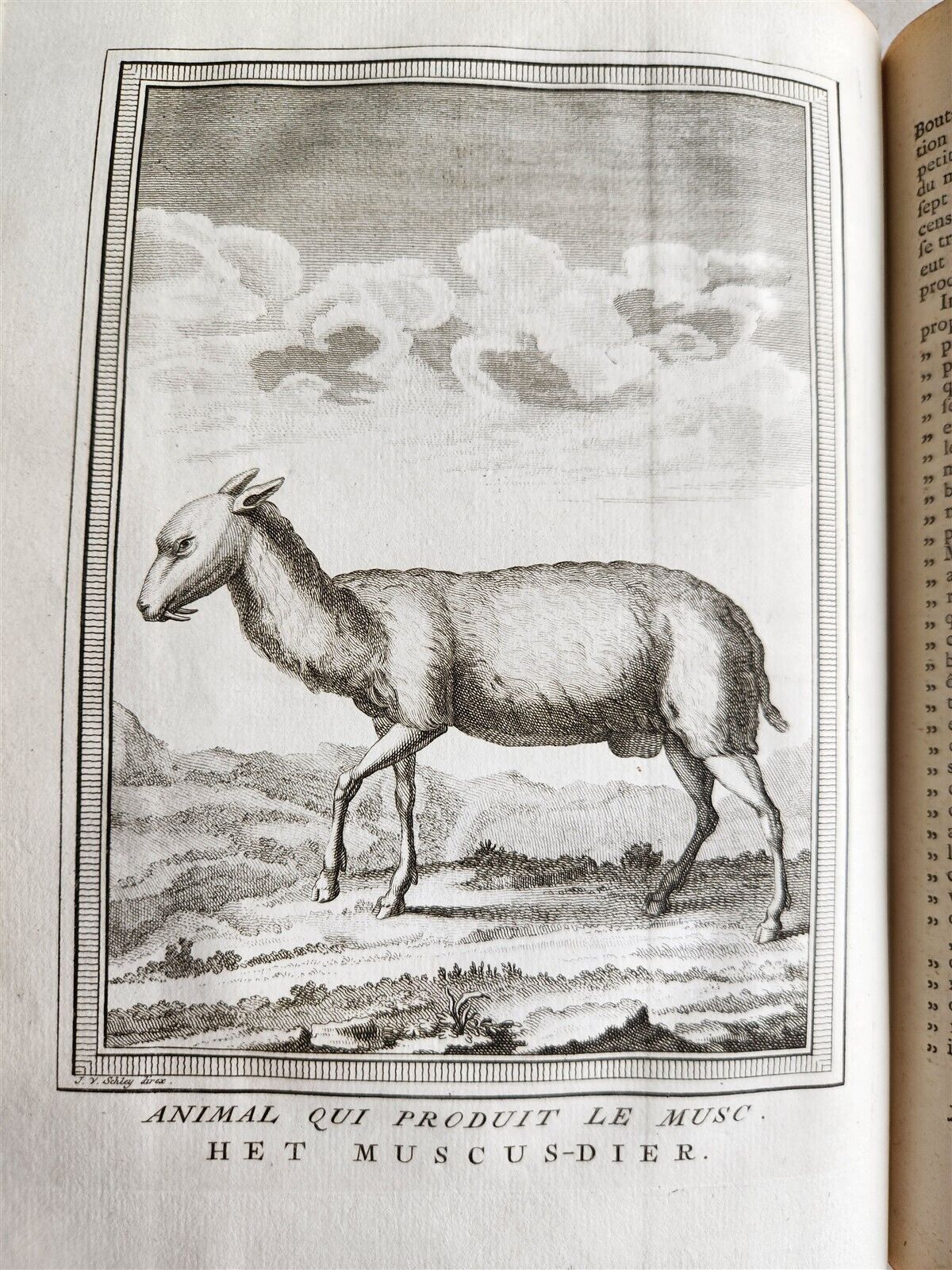 1755 TRAVELS TO EAST INDIES SIAM antique Histoire generale des voyages ILLUSTR.