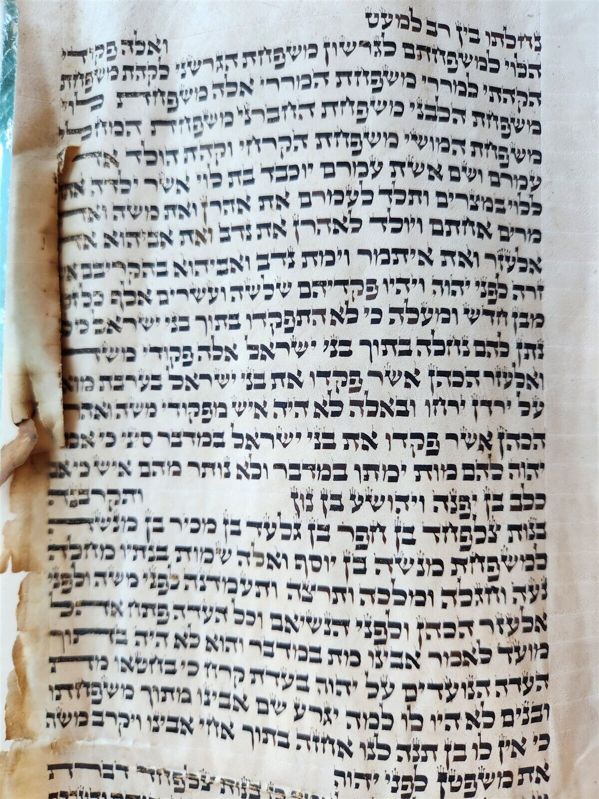 TORAH SCROLL FRAGMENT MANUSCRIPT on VELLUM antique BIBLE BOOK OF NUMBERS