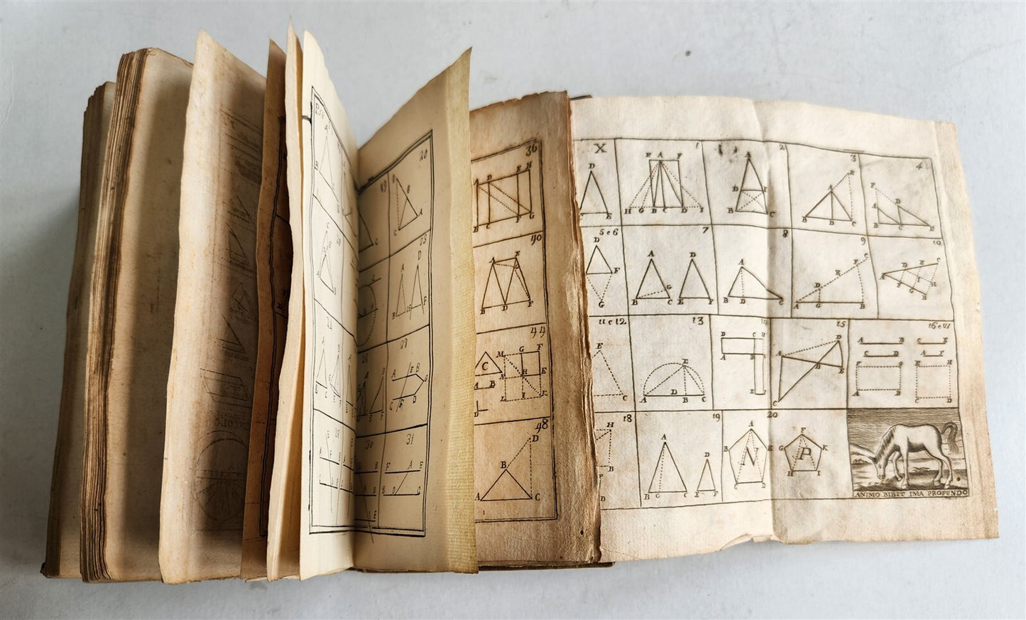 1824 EUCLID GEOMETRY antique ILLUSTRATED vellum binding