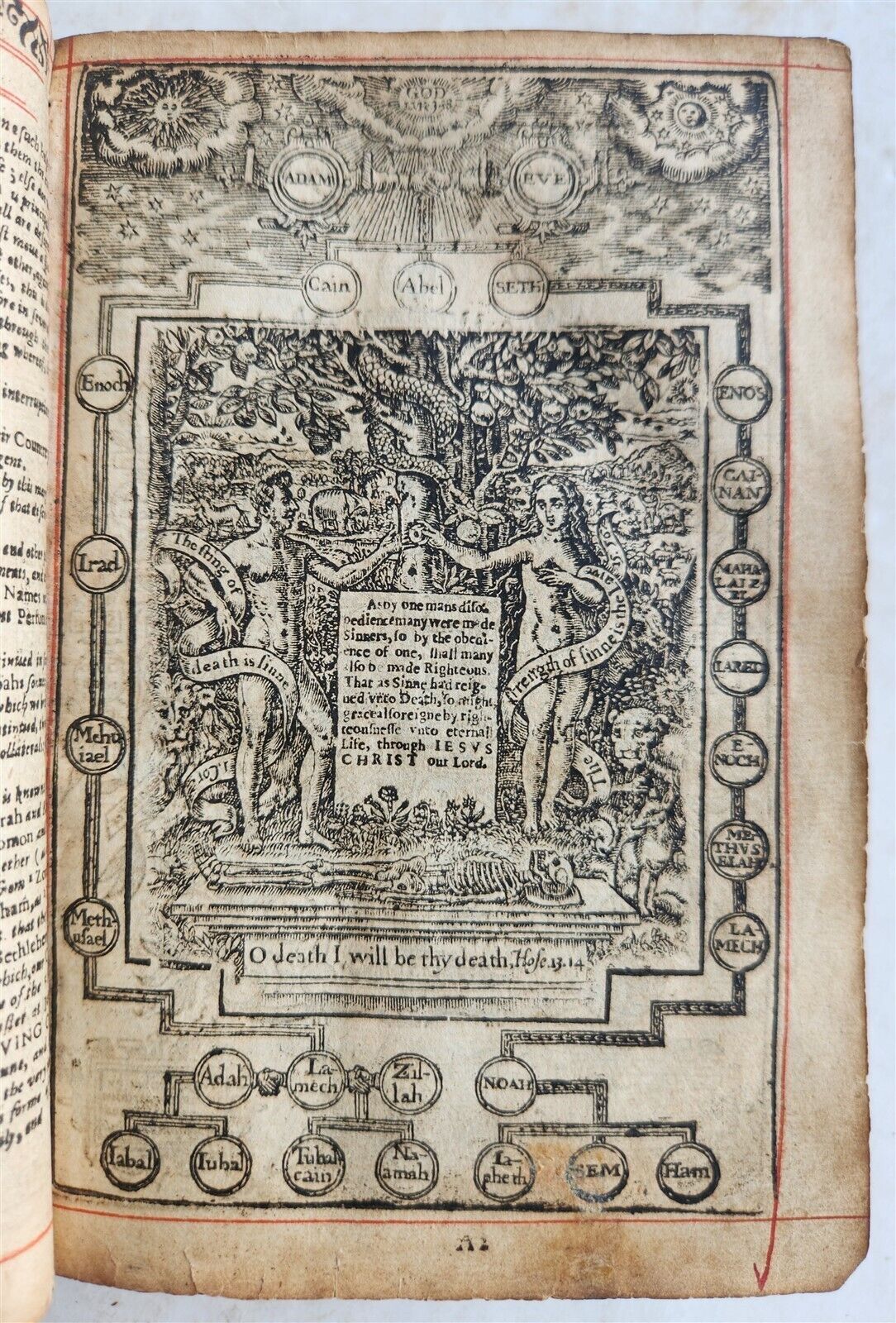 1648 BIBLE in ENGLISH antique Old & New Testament LONDON ILLUSTRATED 114 PLATES
