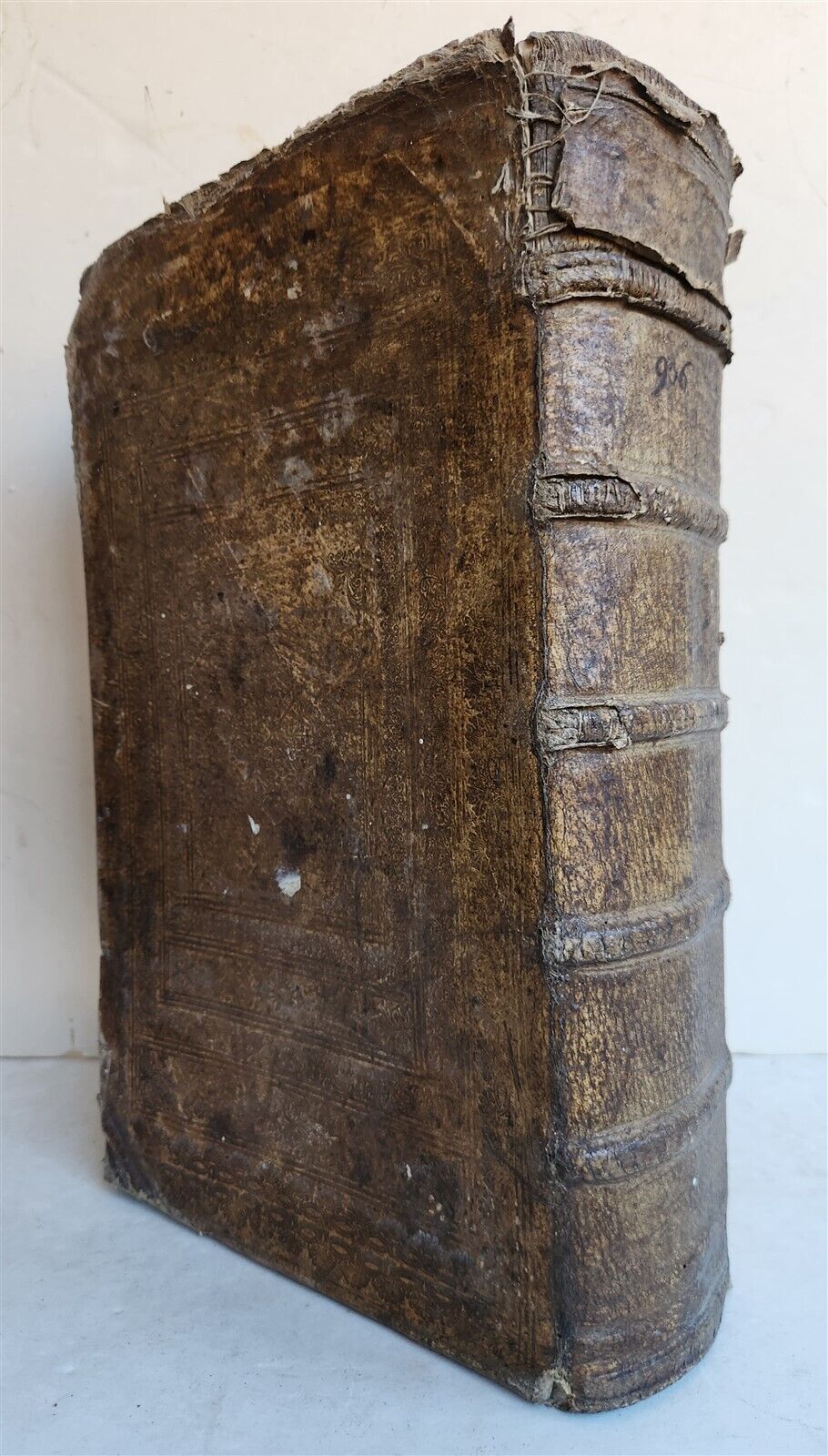 1744 THEATRUM BOTANICUM ILLUSTRATED GERMAN HERBAL antique PIGSKIN BOUND FOLIO