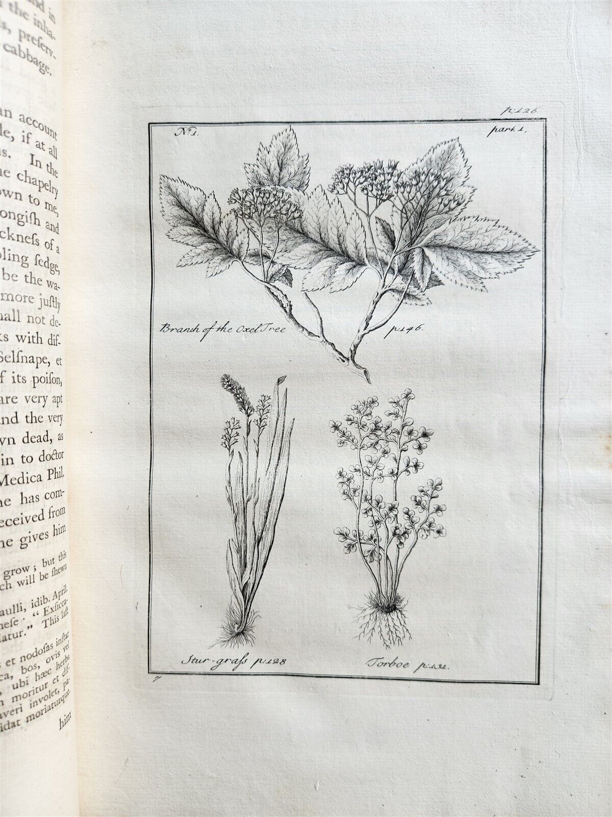 1755 NATURAL HISTORY of NORWAY ILLUSTRATED Pontoppidan antique FOLIO in ENGLISH