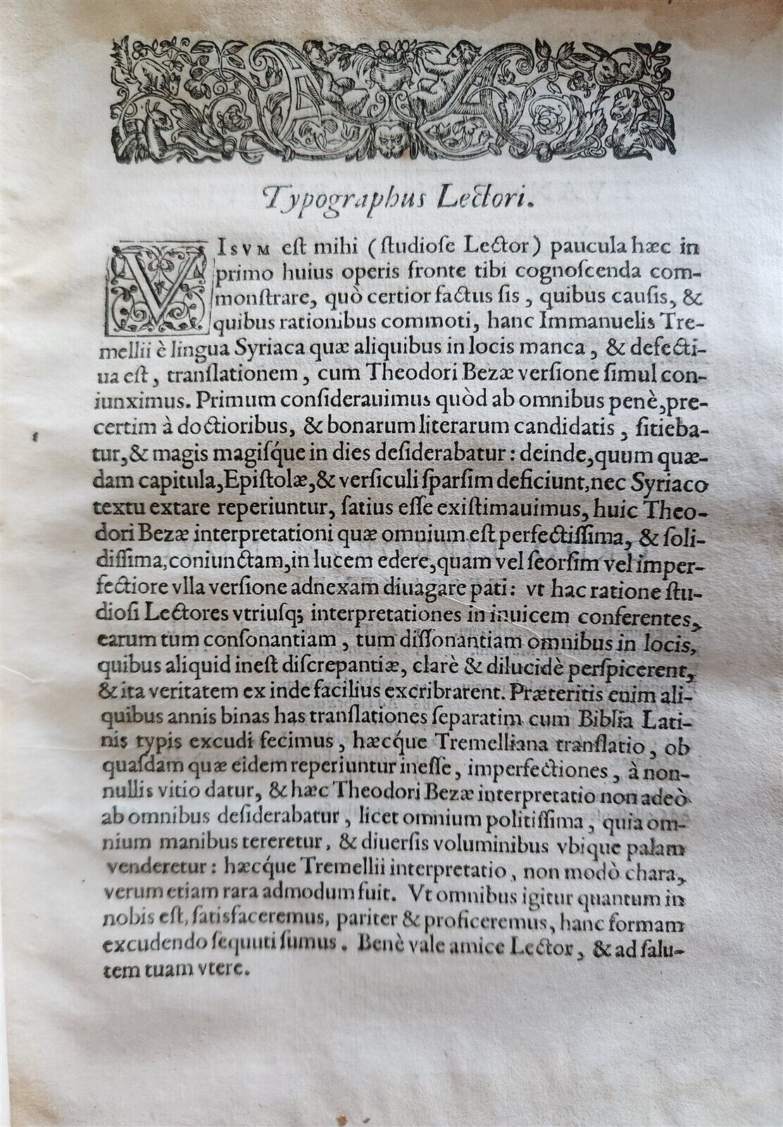 1585 BIBLE in LATIN printed in LONDON antique VELLUM 16th CENTURY NEW TESTAMENT
