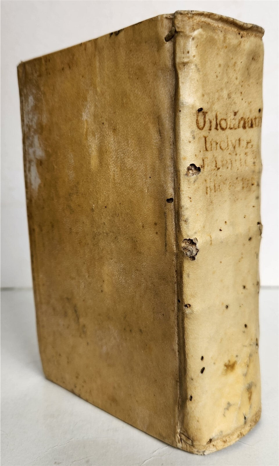 1706 FLORENTINE POPES & CARDINALS HISTORY in LATIN antique vellum binding