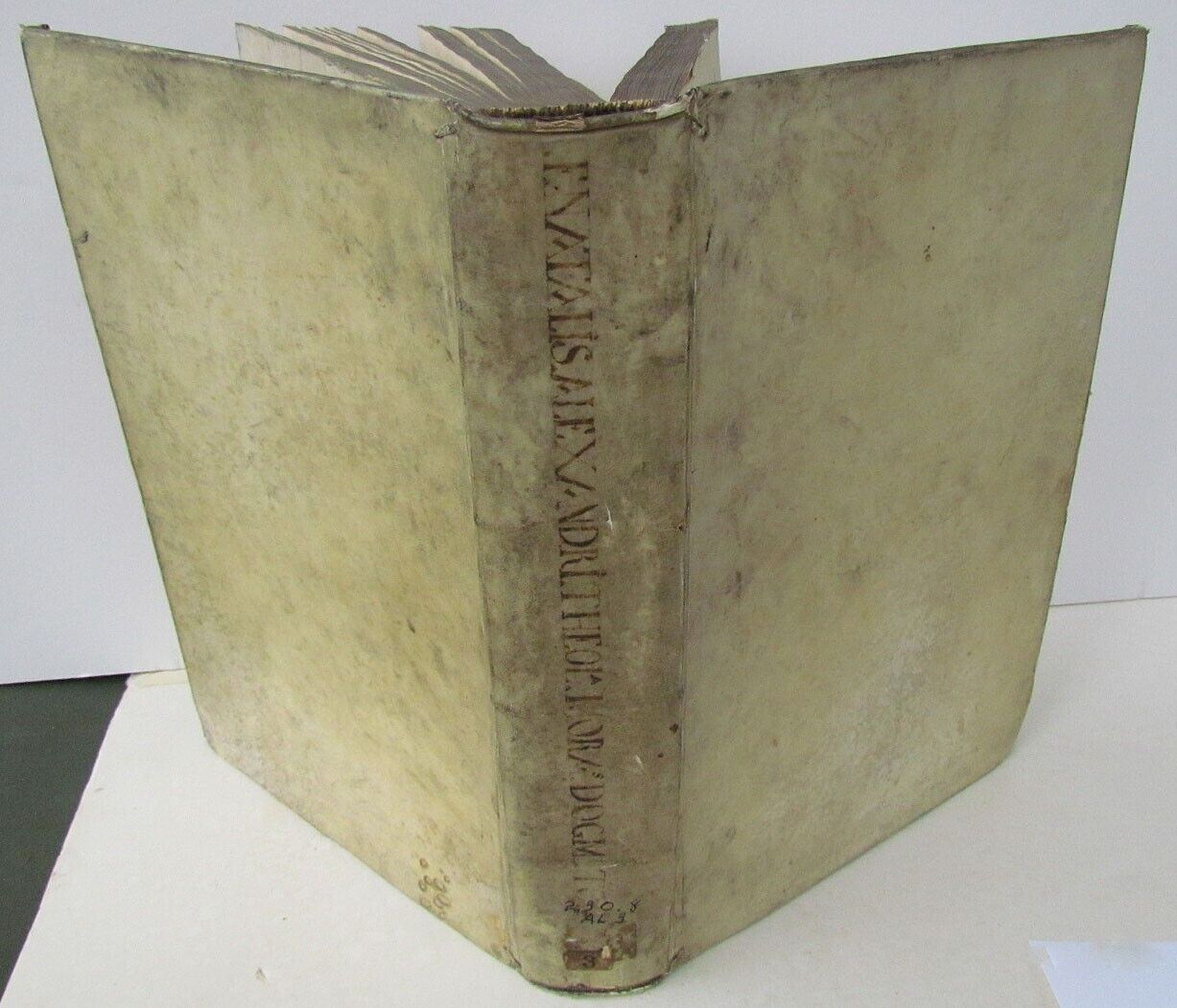 1698 2 VOLUMES ANTIQUE VELLUM FOLIOS 9.5 x 13.5'' THEOLOGIA DOGMATICA