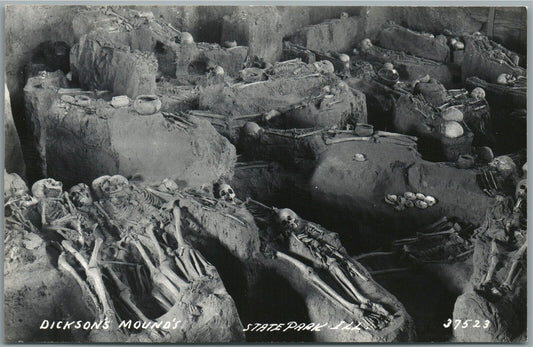 DICKSON MOUND'S STATE PARK skeletons VINTAGE REAL PHOTO POSTCARD RPPC