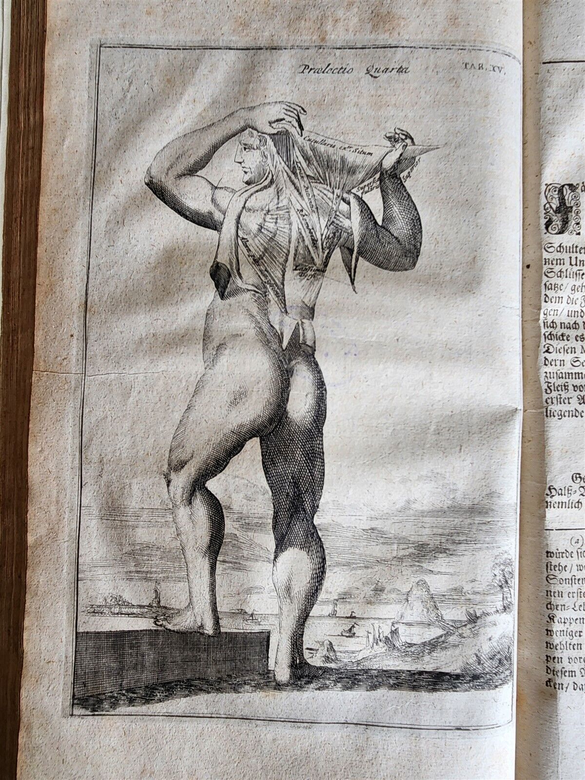 1704 ANATOMY MUSCLE TREATISE antique AMAZINGLY ILLUSTRATED