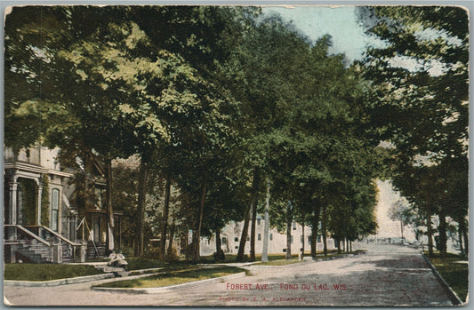 FONT DU LAC WI FOREST STREET ANTIQUE POSTCARD