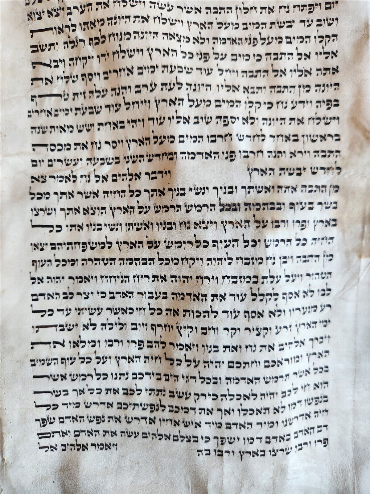 TORAH SCROLL FRAGMENT MANUSCRIPT on VELLUM antique BIBLE CREATION of the WORLD
