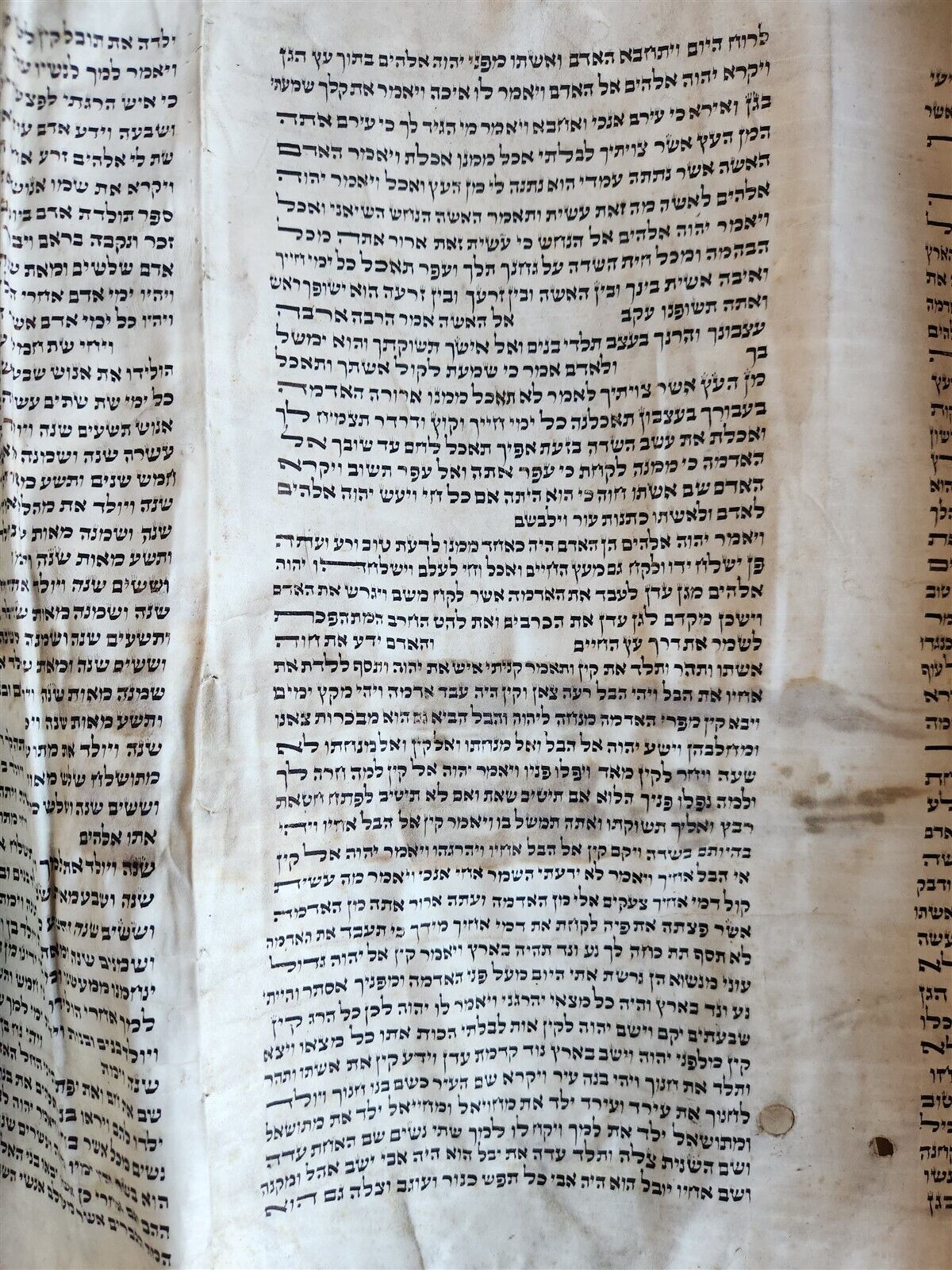 TORAH SCROLL FRAGMENT MANUSCRIPT on VELLUM antique BIBLE CREATION of the WORLD