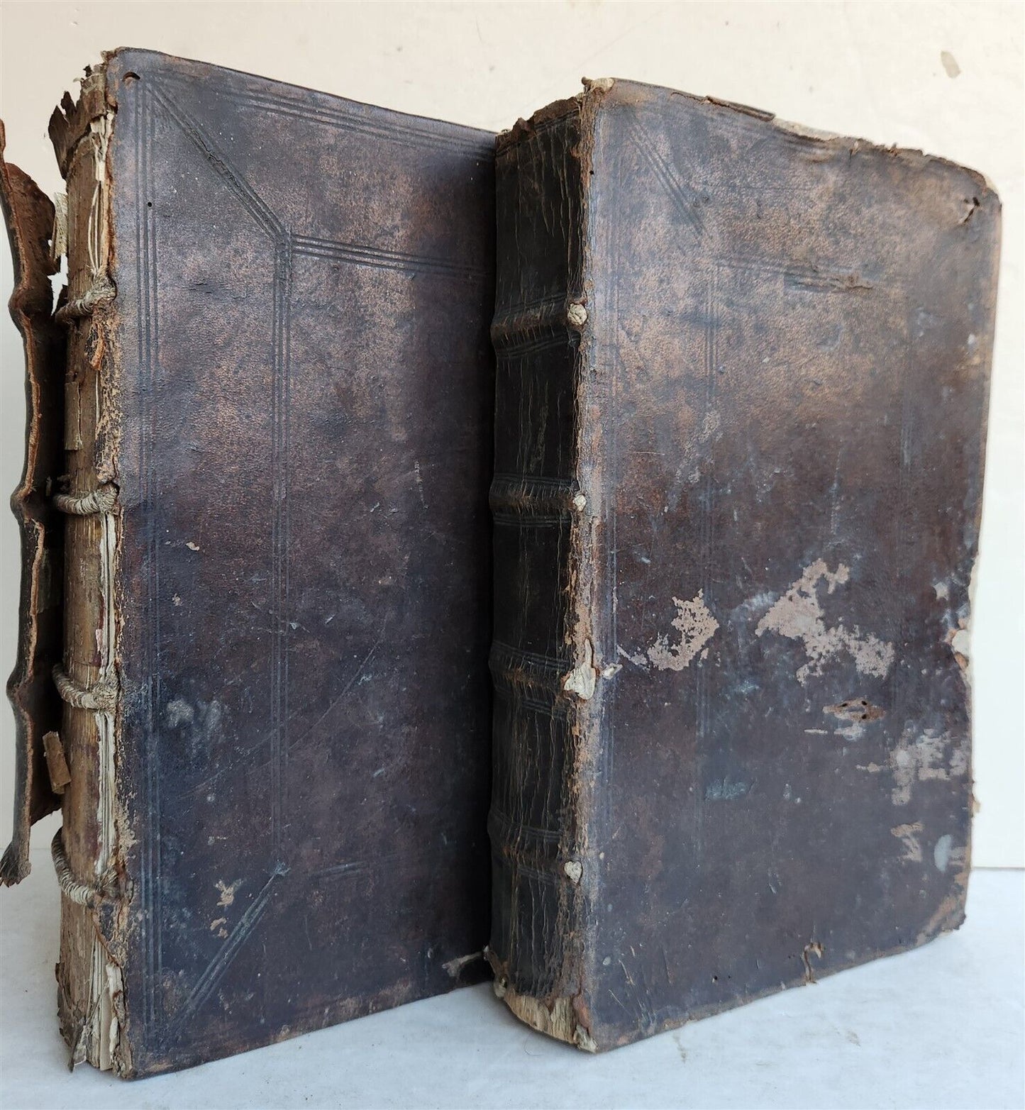 1702 Oeconomus prudens ILLUSTRATED 2 FOLIO VOLUMES antique in GERMAN