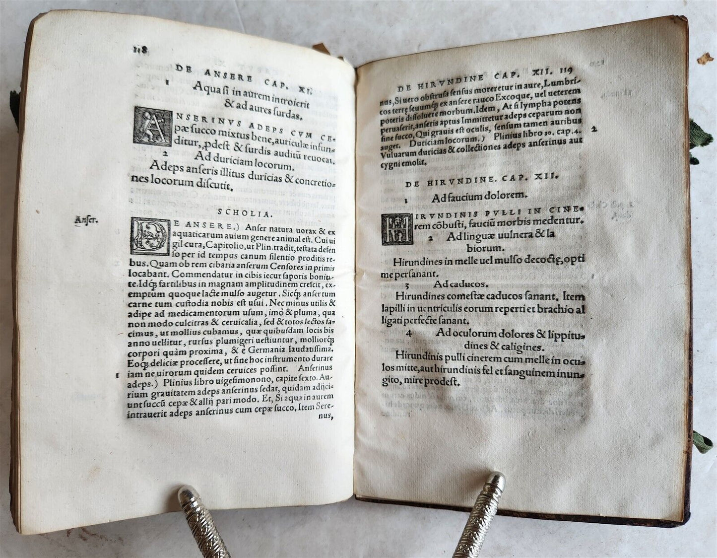 1539 PLATONIC PHILOSOPHY on MEDICINE of BEASTS CATTLE & BIRDS antique 16th CENT.