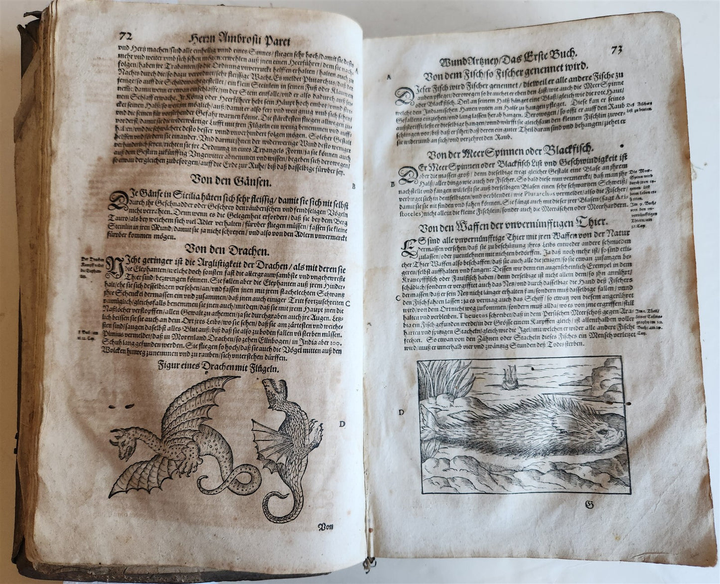 1601 WOUND MEDICINE antique ILLUSTRATED WundArtzney oder Artzney spiegell FOLIO