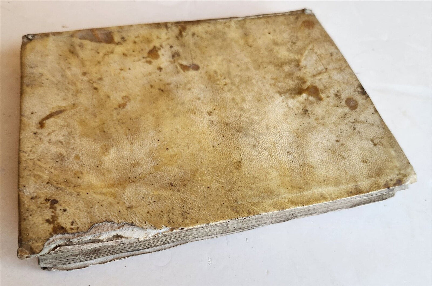 1635 POETRY in ITALIAN antique VELLUM BINDING