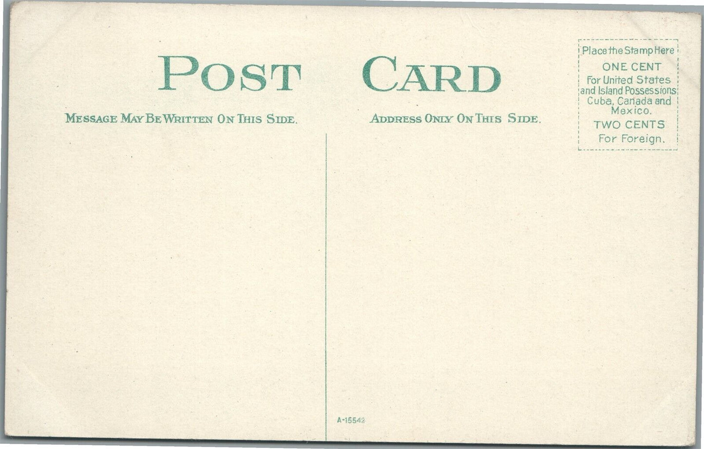 BINGHAMPTON NY CHENANGO STREET ANTIQUE POSTCARD