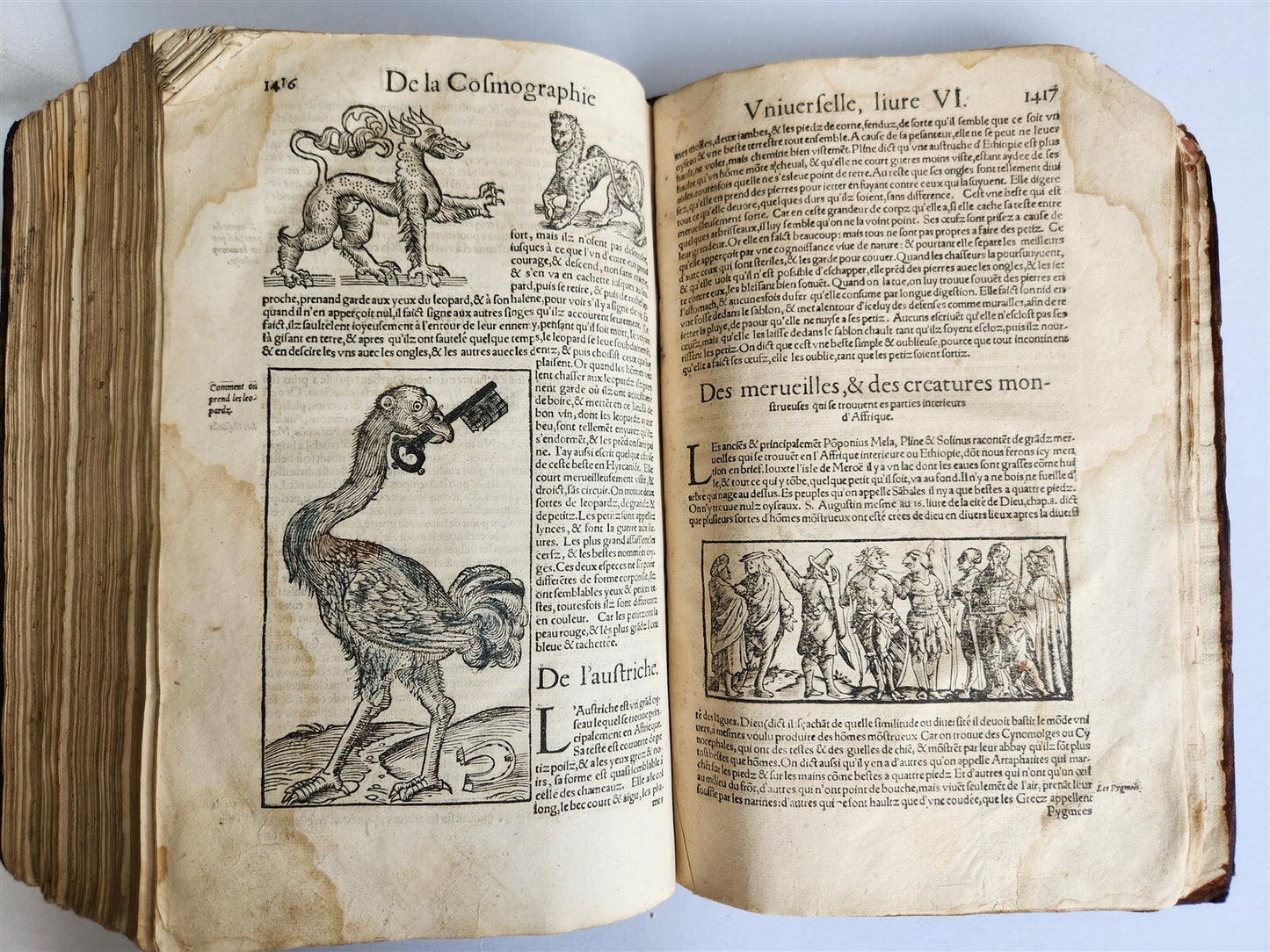 1556 COSMOGRAPHY by Sebastian Munster antique RARE ILLUSTRATED 16th cent. FOLIO