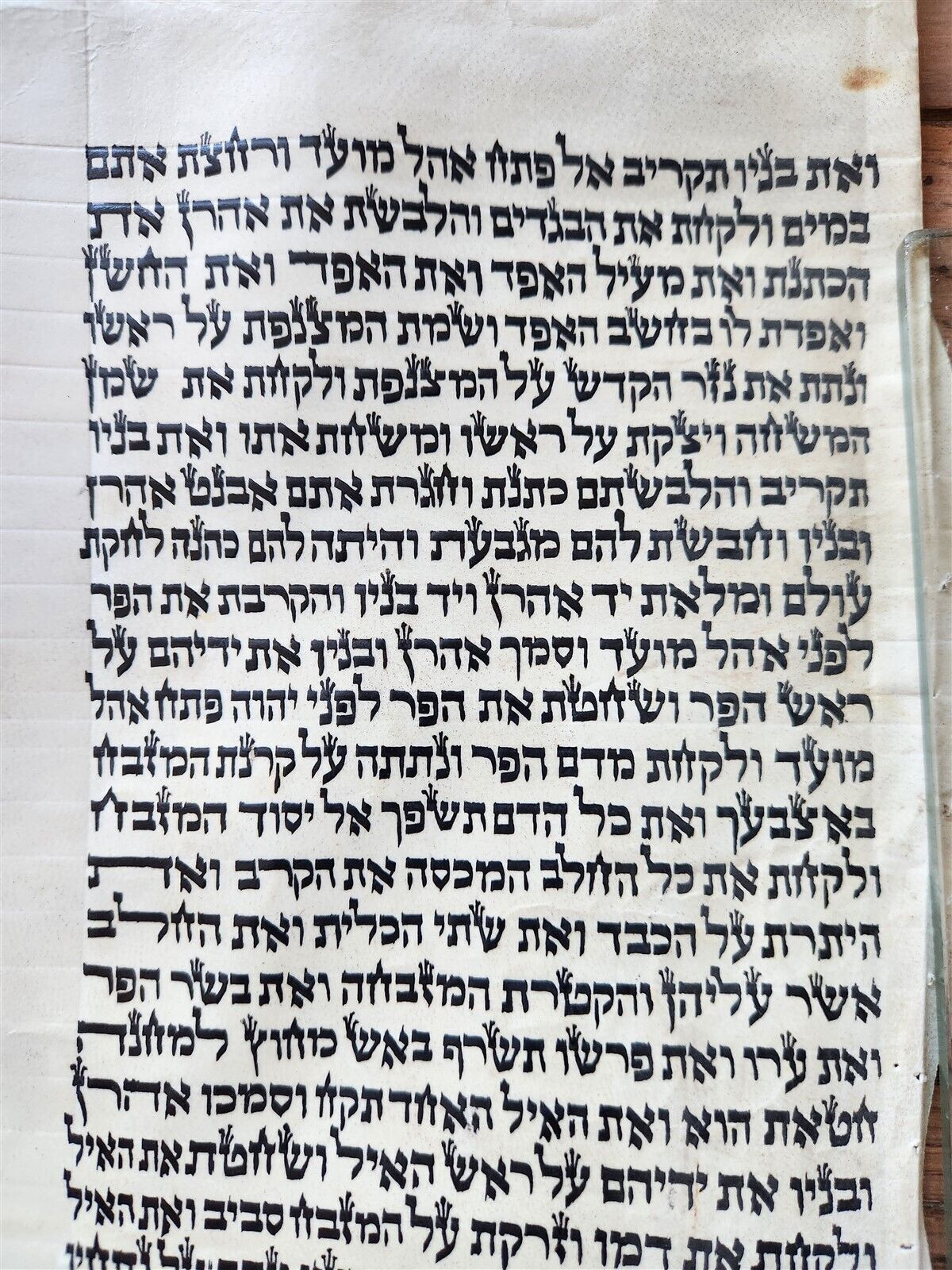 TORAH SCROLL FRAGMENT MANUSCRIPT on VELLUM antique BIBLE EXODUS 29:4-32.2