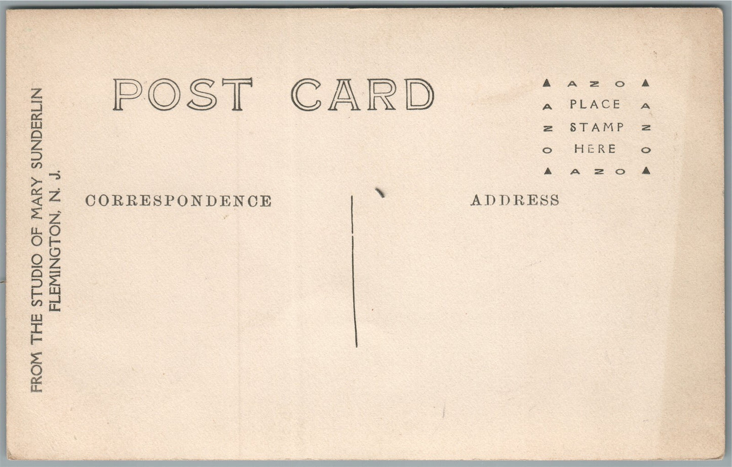 FLEMINGTON NJ PATRIOTIC ANTIQUE REAL PHOTO POSTCARD RPPC