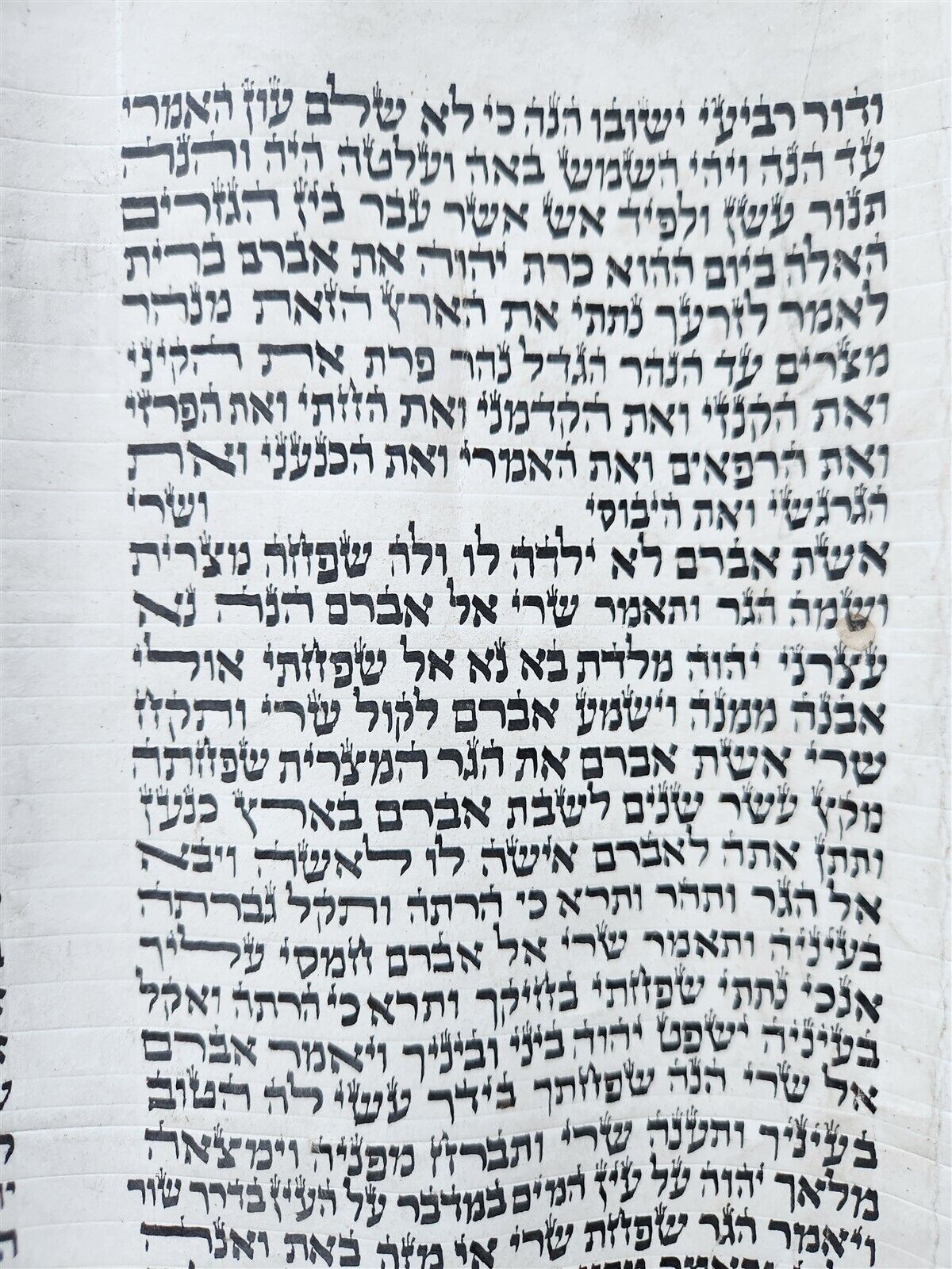 TORAH SCROLL FRAGMENT MANUSCRIPT on VELLUM antique BIBLE GENESIS 15:16-19:14