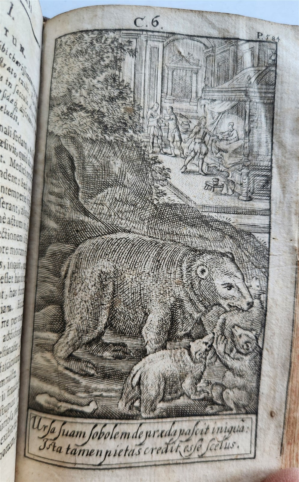 1724 ILLUSTRATED POLITICAL NOVEL antique Joannis Barclaii Argenis