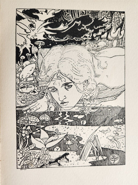 1896 EVERGREEN NORTHERN SEASONAL BOOK OF SUMMER antique ARTS & CRAFTS ILLUSTR.